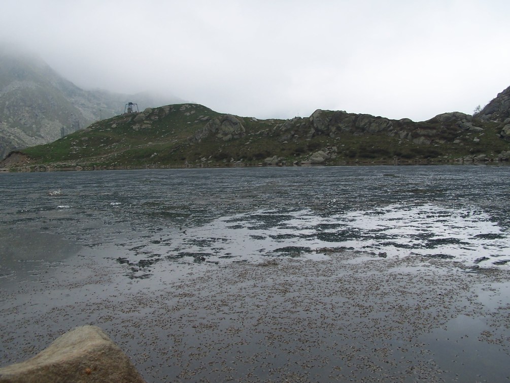 Laghi.....del PIEMONTE